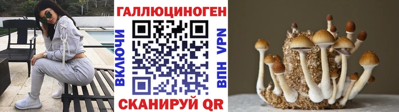 Псилоцибиновые грибы Psilocybe  Купить  Заозёрск 